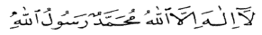 Arp01.jpg (10532 bytes)