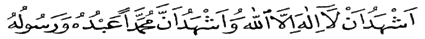 Arp02.jpg (10507 bytes)