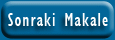 Sonraki Makale