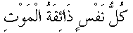 c21006.gif (575 bytes)