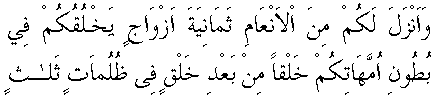 c28018.gif (2913 bytes)