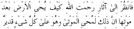 f01005.gif (2837 bytes)