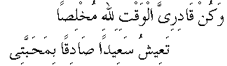 p195.gif (1231 bytes)