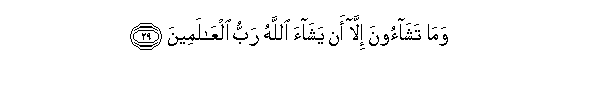 81-299999.gif (2091 bytes)