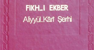 Fikh I Ekber Serhi Aliyyul Kari Tam Metin 2