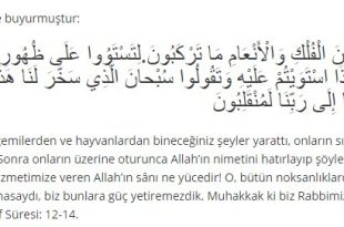 Hayvana Veya Bir Vasitaya Binince Okunacak Dua