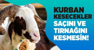 Kurban Kestirmek Isteyen Kisinin De Sac Ve Tirnaklarindan Aldirmasi Mekruh Olur Mu