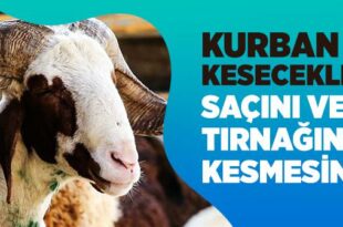 Kurban Kestirmek Isteyen Kisinin De Sac Ve Tirnaklarindan Aldirmasi Mekruh Olur Mu