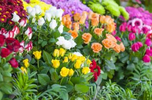 Islamda Kadinin Degeri 2