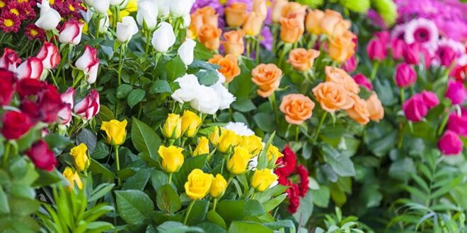 Islamda Kadinin Degeri 2