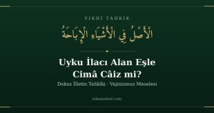 Uyku ilacı alan eşle cimâ meselesi — el-asl fi'l-eşyâi'l-ibâha